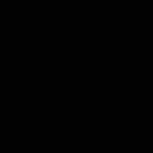 Meet your Posher, Gianna